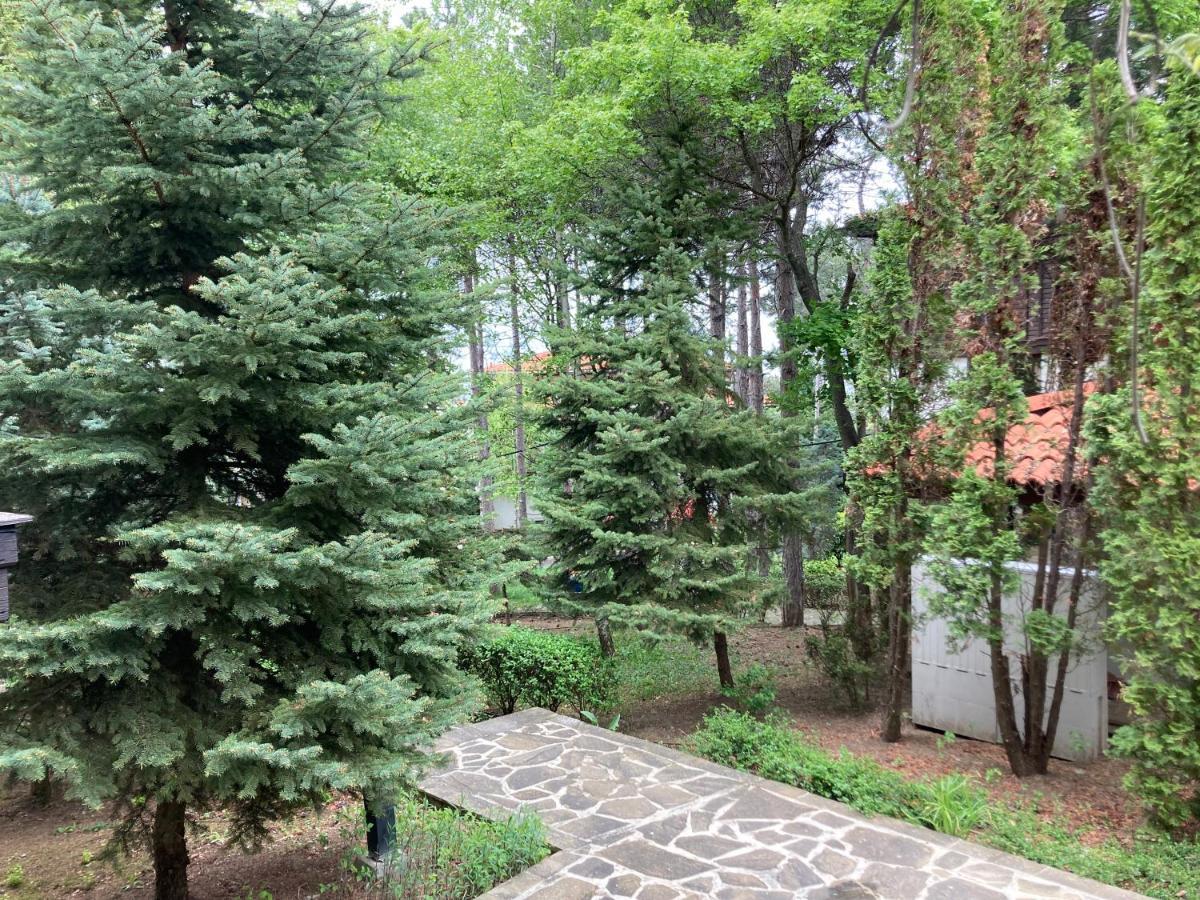 Lovely Apartment Santa Marina Sozopol Ngoại thất bức ảnh